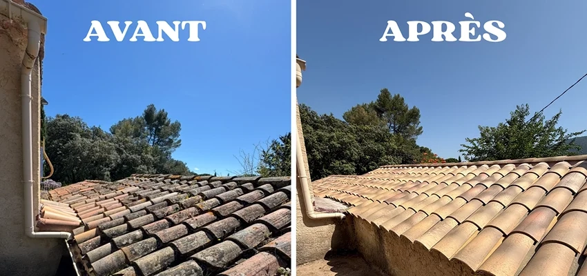 Nettoyage toiture (1)