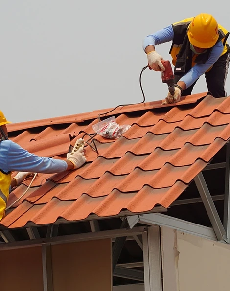 renovation de toiture et nettoyage